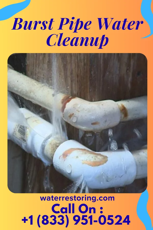 Burst Pipe Water Cleanup in Dublin, OH