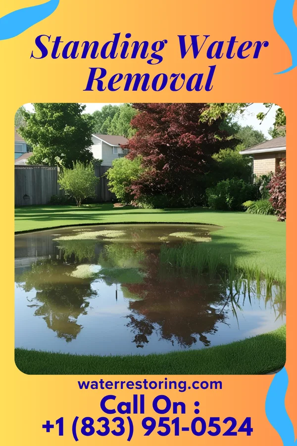 Standing Water Removal in Dublin, OH